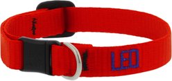 LupinePet Basic Solid Breakaway Buckle Safety Nylon Personalized Cat Collar, Red