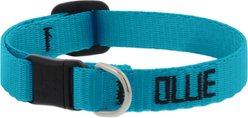 LupinePet Basic Solid Breakaway Buckle Safety Nylon Personalized Cat Collar, Aqua
