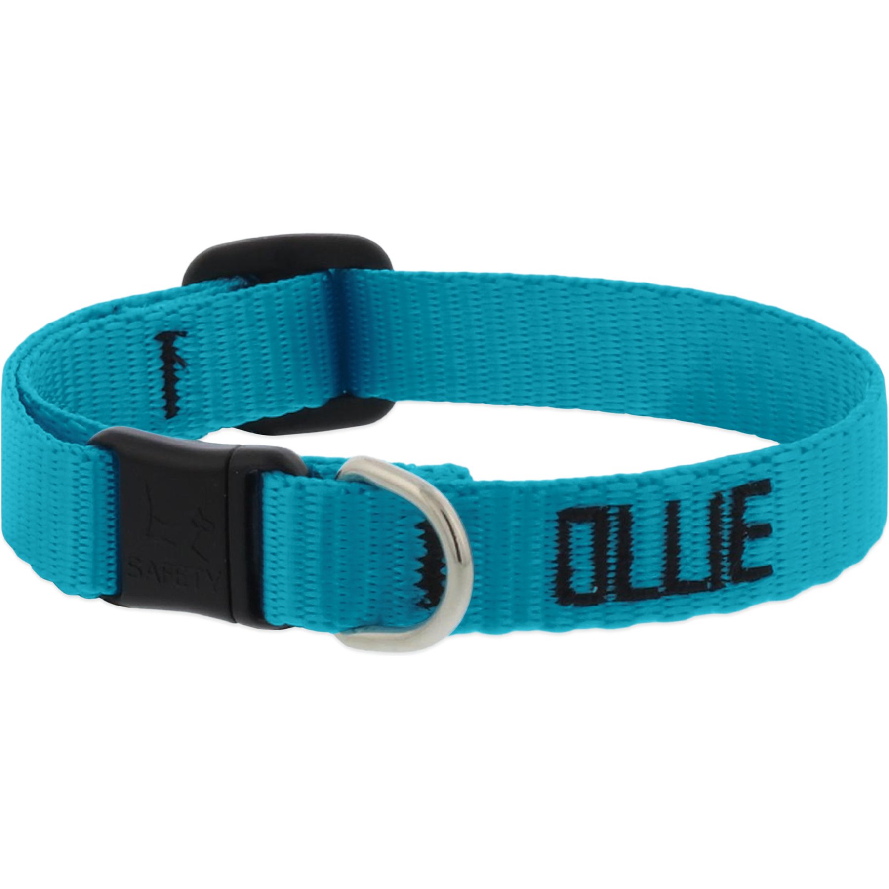LupinePet Basic Solid Breakaway Buckle Safety Nylon Personalized Cat Collar, Aqua