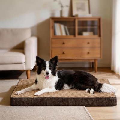 Invenho Invenho Egg Crate Foam Orthopedic Pillow Dog Bed Mat with Removable Washable Cover, X-Large: 41 x 27 x 3.5-in, Brown