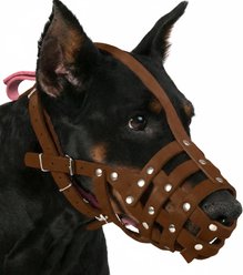 CollarDirect Doberman Leather Dog Muzzle, Black, Large slide 2 of 8