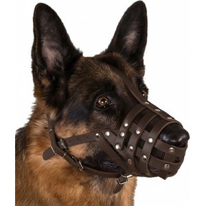 CollarDirect Doberman Leather Dog Muzzle, Chestnut Brown, Medium