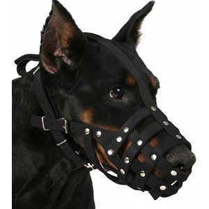 CollarDirect Doberman Leather Dog Muzzle, Chestnut Brown, Medium