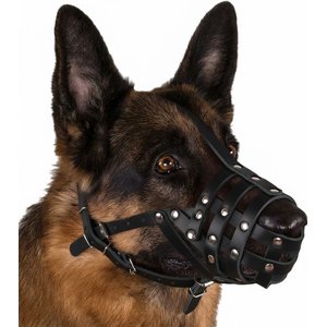CollarDirect Doberman Leather Dog Muzzle, Chestnut Brown, Medium