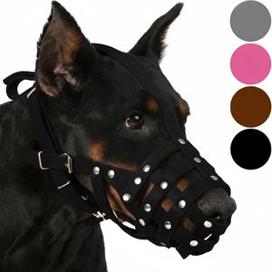 CollarDirect Doberman Leather Dog Muzzle, Chestnut Brown, Medium