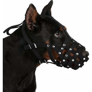 CollarDirect Doberman Leather Dog Muzzle, Chestnut Brown, Medium