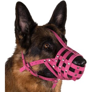 CollarDirect Doberman Leather Dog Muzzle, Black, Large