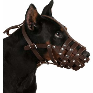 CollarDirect Doberman Leather Dog Muzzle, Black, Large