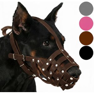 CollarDirect Doberman Leather Dog Muzzle, Black, Large