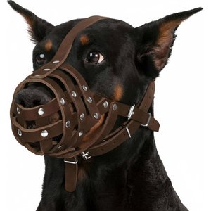 CollarDirect Doberman Leather Dog Muzzle, Black, Large