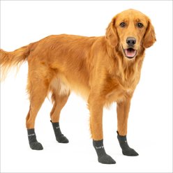 Kurgo Blaze Dog Stretch Socks, Grey, 4-pack, Medium