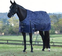 WeatherBeeta ComFiTec Limited Edition 0G Horse Turnout, Floral Print, 75-in