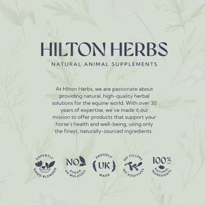 Hilton Herbs Bye Bye Fly Garlic Granules Horse Supplement, 2.2-lb tub