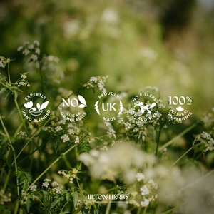 Hilton Herbs Bye Bye Fly Garlic Granules Horse Supplement, 2.2-lb tub