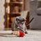 Show in main carousel: Frisco Coastal Hermit Crab Dental Chew Plush Cat Toy with Silvervine & Catmint slide 4 of 7