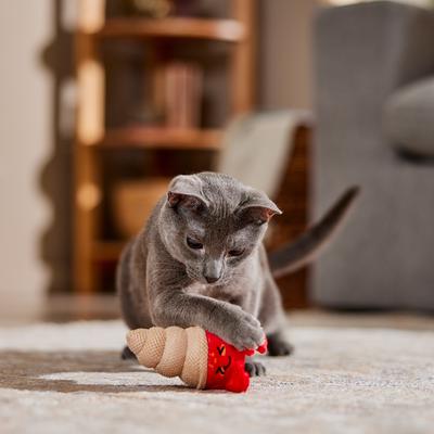 Show full view: Frisco Coastal Hermit Crab Dental Chew Plush Cat Toy with Silvervine & Catmint slide 4 of 7