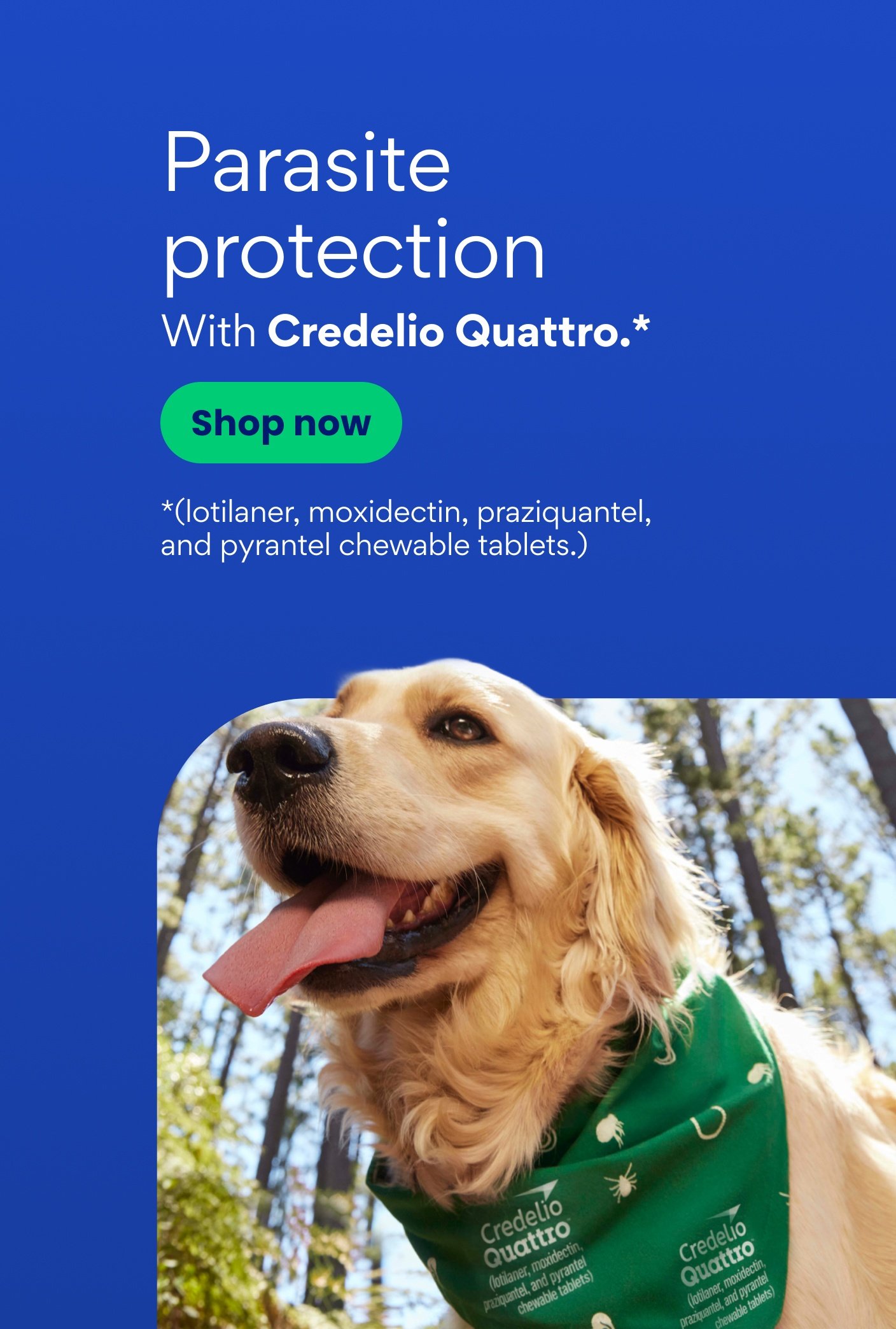 Parasite protection With Credelio Quattro.* Shop now. *(lotilaner, moxidectin, praziquantel, and pyrantel chewable tablets.)