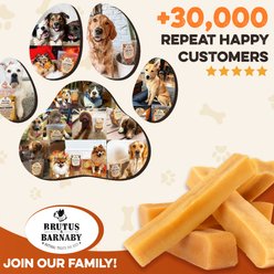 Brutus & Barnaby 7-inch Jumbo 100% Natural Himalayan Yak Cheese Grain-Free Chew Treats for Large Dogs, 3 count slide 2 of 8