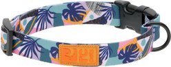 RC Pets Eco Polyester Dog Collar, Mystic Monstera, Small: 9 to 13-in neck, 3/4-in wide