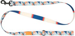 RC Pets Eco Polyester Dog Leash, Riptide, 5-ft long, 1-in wide