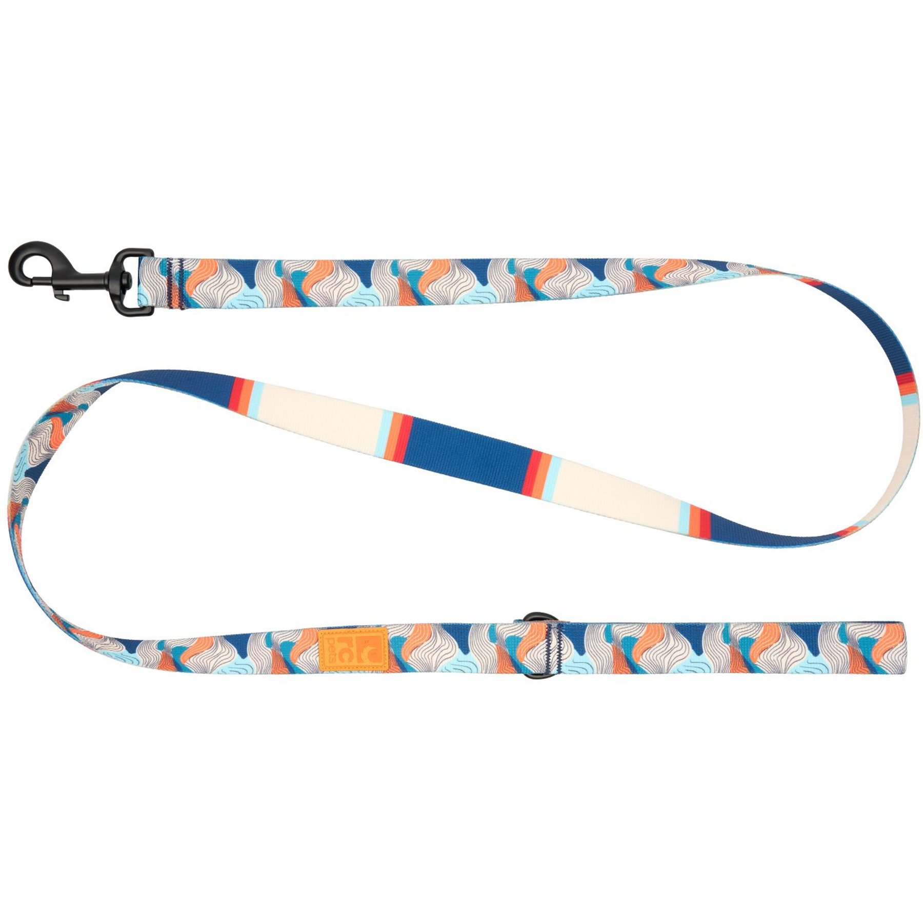 RC Pets Eco Polyester Dog Leash, Riptide, 5-ft long, 3/4-in wide