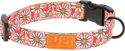 RC Pets Eco Polyester Dog Collar, Daisy Joy, Medium: 12 to 20-in neck, 1-in wide
