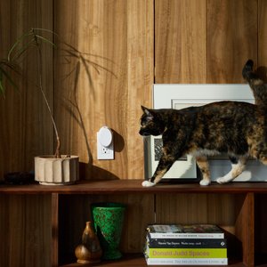 Pura Mini Smart Fragrance Diffuser Accessory Dog & Cat Air Freshener, White