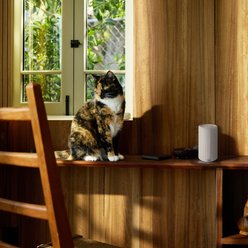 Pura Plus Smart Fragrance Diffuser Accessory Dog & Cat Air Freshener, White slide 2 of 4