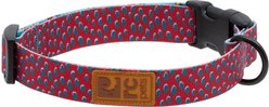 RC Pets Eco Polyester Dog Collar, Dotted Delight, Small: 9 to 13-in neck, 3/4-in wide slide 1 of 7