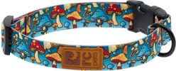 RC Pets Eco Polyester Dog Collar, Funky Fungi, Small: 9 to 13-in neck, 3/4-in wide