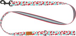 RC Pets Eco Polyester Dog Leash, Cherry Picnic, 5-ft long, 1-in wide