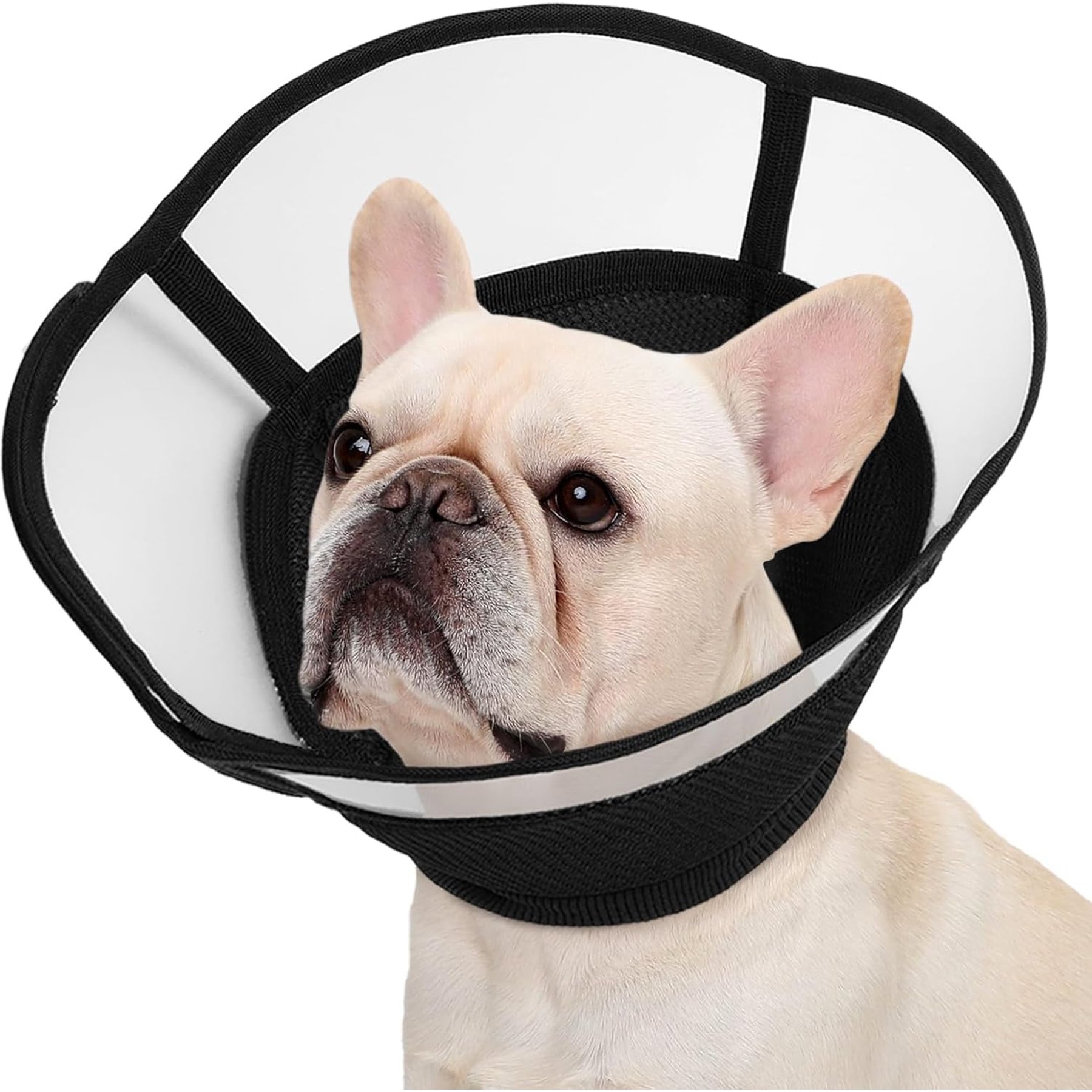 Kuoser Soft Cone Adjustable Recovery Dog Elizabethan Collar/E-Collar, Black, Medium