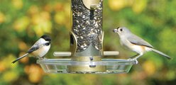 Aspects Round Seed Tray Wild Bird Feeder Accessory, Clear, 8.5-in