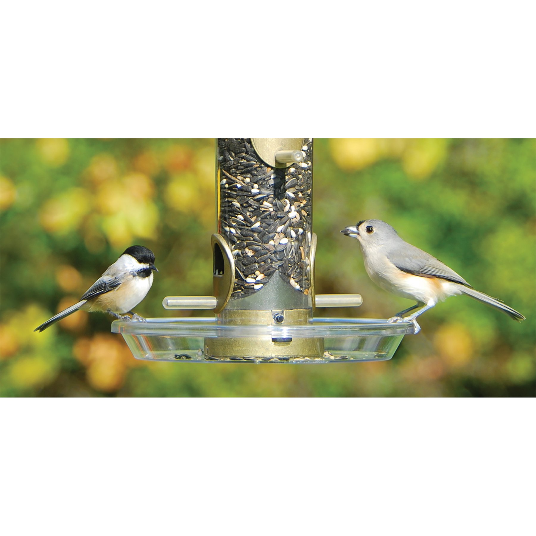 Aspects Round Seed Tray Wild Bird Feeder Accessory, Clear, 8.5-in