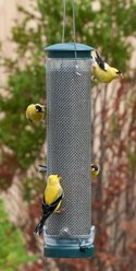 Aspects QuickClean Finch Mesh Wild Bird Feeder, Spruce Green/Silver, Medium: 1.25-qt
