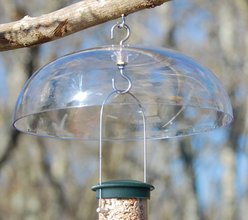 Aspects Weather Dome Wild Bird Feeder Accessory, Clear, 12-in