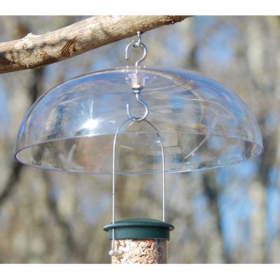 Aspects Aspects Weather Dome Wild Bird Feeder Accessory, Clear, 12-in