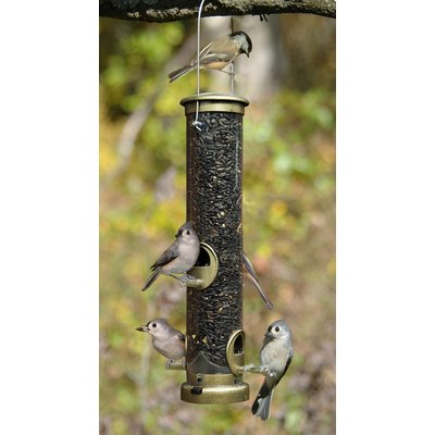 Aspects Aspects Wild Bird Seed Tube Feeder, Antique Brass/Clear, Medium: 1.25-qt