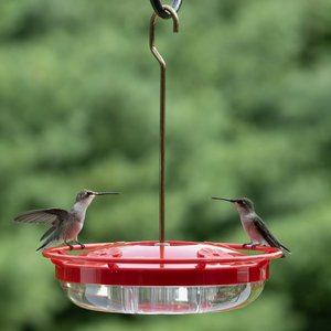 Aspects HummZinger HighView Nector Hummingbird Feeder, Red/Clear, 12-oz