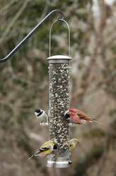 Aspects Seed Tube Wild Bird Feeder, Brushed Nickel/Clear, Medium, 1.25-qt