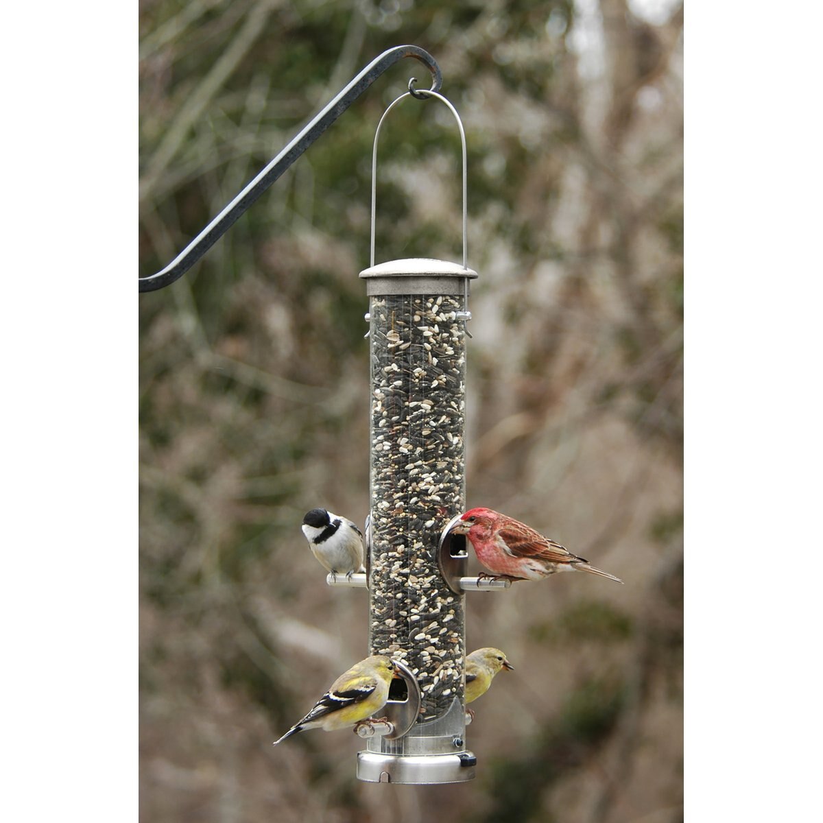 Aspects Seed Tube Wild Bird Feeder, Brushed Nickel/Clear, Medium, 1.25-qt