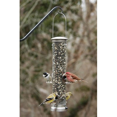 Aspects Aspects Seed Tube Wild Bird Feeder, Brushed Nickel/Clear, Medium, 1.25-qt
