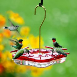 Aspects HighView Square Nector Hummingbird Feeder, Red/Clear, 8-oz