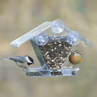 Aspects Aspects The Window Café Wild Bird Feeder, Clear, 0.75-qt