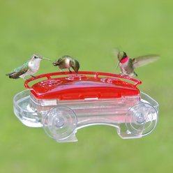Aspects The Jewel Box Window Nector Hummingbird Feeder, Red/Clear, 8-oz