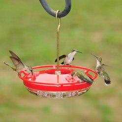 Aspects HummZinger HighView Nector Hummingbird Feeder, Red/Clear, 8-oz