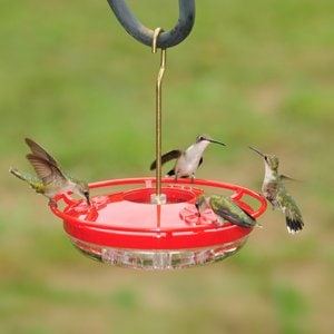 Aspects HummZinger HighView Nector Hummingbird Feeder, Red/Clear, 8-oz