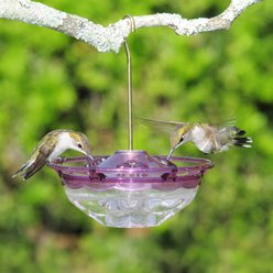 Aspects HummZinger Pest Repellant Hummingbird Nectar Guard Tips Feeder Accessory, Clear, 12 count