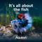 Show in main carousel: Aqueon LED MiniBow SmartClean Fish Aquarium Kit, Black, 5-gal slide 8 of 10