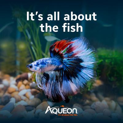 Show full view: Aqueon LED MiniBow SmartClean Fish Aquarium Kit, Black, 5-gal slide 8 of 10